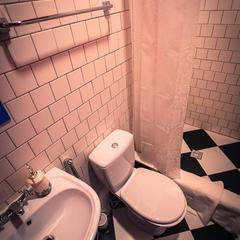 Гостиница Кошка Матрешка и Бутик Хостел, Москва, Московская область