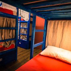 Гостиница Кошка Матрешка и Бутик Хостел, Москва, Московская область