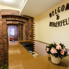 Отель Винтерфелл на Таганке, Москва, Московская область