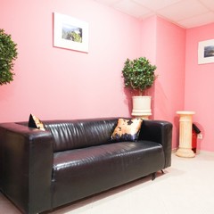 Гостевой дом Полянка, Москва, Московская область