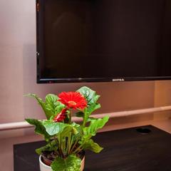 Отель ЛЕО, Москва, Московская область