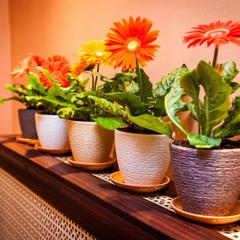 Отель ЛЕО, Москва, Московская область