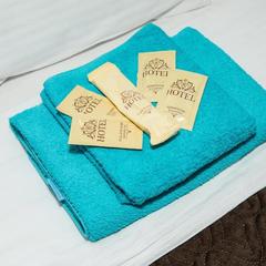 Отель Ладомир, Москва, Московская область