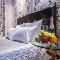 Мини-гостиница Астра-Люкс, Москва, Московская область