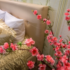 Мини-гостиница Астра-Люкс, Москва, Московская область