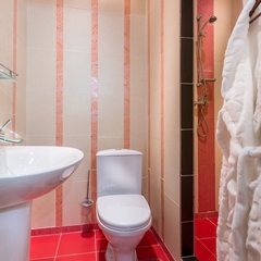 Мини-гостиница Астра-Люкс, Москва, Московская область