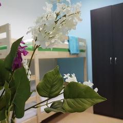 Хостел iProspali, Москва, Московская область