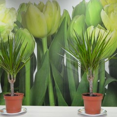 Хостел Hotelhot на Белорусском вокзале, Москва, Московская область