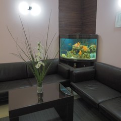 Отель Парус, Москва, Московская область