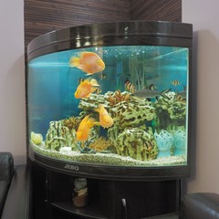 Отель Парус, Москва, Московская область