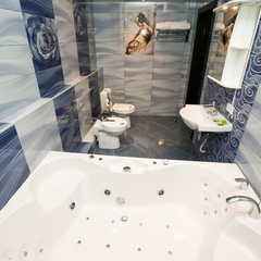 Гостиница Hanzer, Москва, Московская область