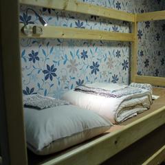 Хостел ПЛЕД на Павелецкой, Москва, Московская область