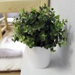 Хостел ПЛЕД на Павелецкой, Москва, Московская область