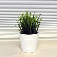 Хостел ПЛЕД на Павелецкой, Москва, Московская область