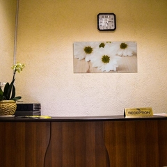 Хостел Mini Hostel Ромашка, Москва, Московская область