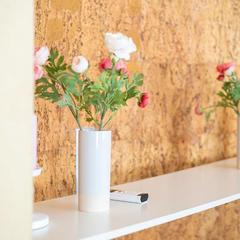 Хостел Никитская капсула, Москва, Московская область