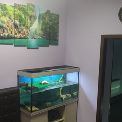 Мини-отель Тарлеон, Москва, Московская область