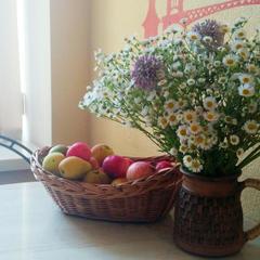 Хостел Никитская капсула, Москва, Московская область