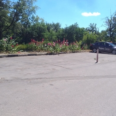 Мини-отель Тарлеон, Москва, Московская область