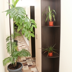 Гостиница Олимп, Москва, Московская область