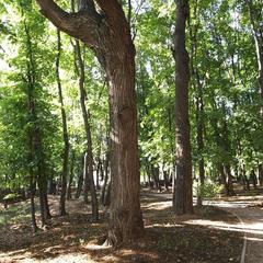 Гостиница Богородское, Москва, Московская область