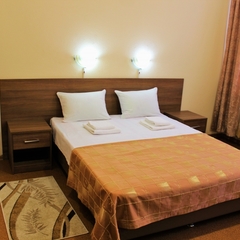 Гостиница Царицынский комплекс, Москва, Московская область