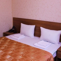 Гостиница Царицынский комплекс, Москва, Московская область