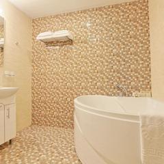 Гостиница Фортис Москва Дубровка, Москва, Московская область