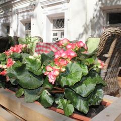 Отель SleepyTom, Москва, Московская область