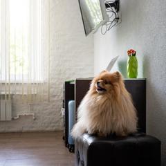 Отель Гранд Виктория, Москва, Московская область