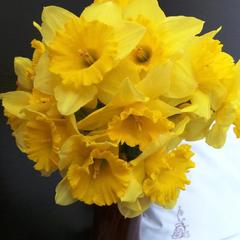 Отель Елоховский Сити, Москва, Московская область