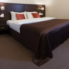 Гостиница Мистер Жулебин, Москва, Московская область