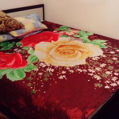 Гостевой дом Профсоюзная, Москва, Московская область