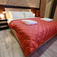 Отель Элизиум, Москва, Московская область