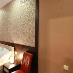 Отель Элизиум, Москва, Московская область