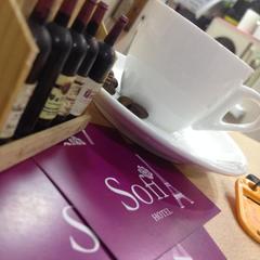 Отель Софи, Москва, Московская область