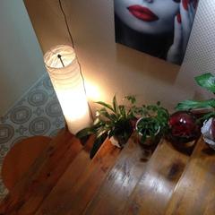 Отель Софи, Москва, Московская область