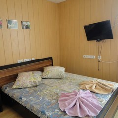 Отель Люси-отель, Москва, Московская область