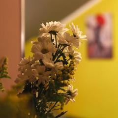 Отель Цитадель Комфорт, Москва, Московская область