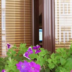 Отель Сретенский двор, Москва, Московская область