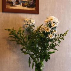 Отель Цитадель Комфорт, Москва, Московская область