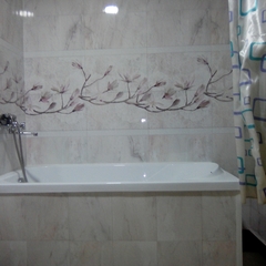 Гостиница Рица, Москва, Московская область