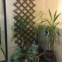 Хостел Гнездо Сокол, Москва, Московская область