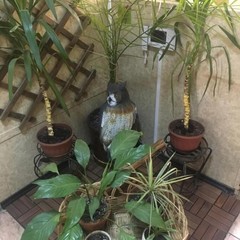 Хостел Гнездо Сокол, Москва, Московская область