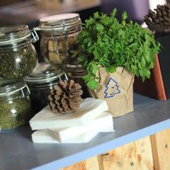 Хостел Ель, Москва, Московская область