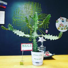 Хостел Клевер, Москва, Московская область