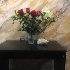 Хостел Полянка на Чистых Прудах, Москва, Московская область