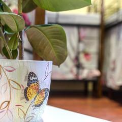 Хостел Light Dream на Златоустинском, Москва, Московская область