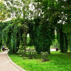 Отель Mother Russia Hotel and Hostel, Москва, Московская область