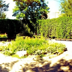 Отель Mother Russia Hotel and Hostel, Москва, Московская область